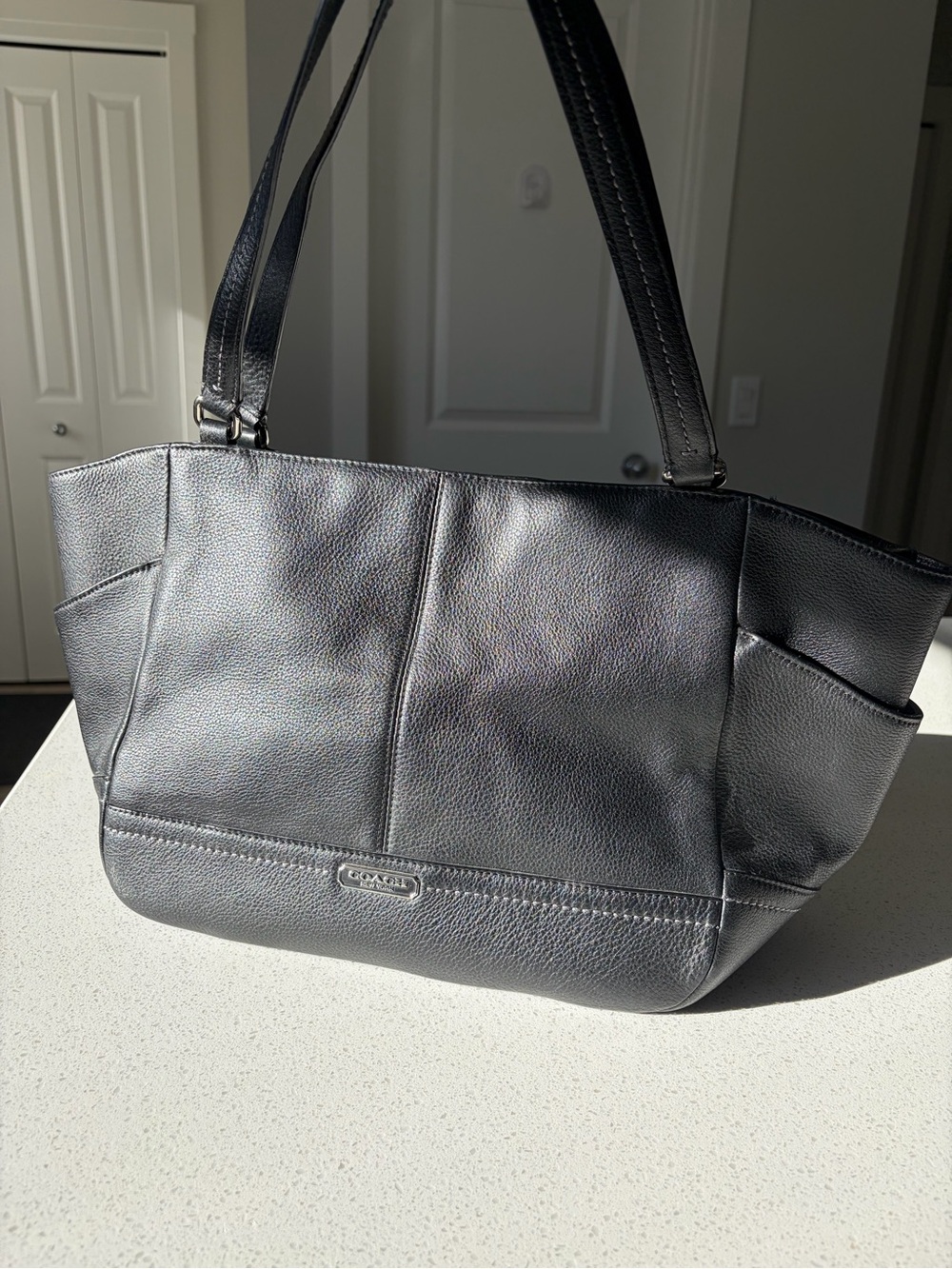 Coach Park Leather North/South Tote F23662 Black Pebbled Leather